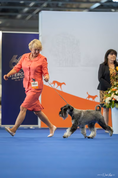 INTERCANIS Brno – BOD