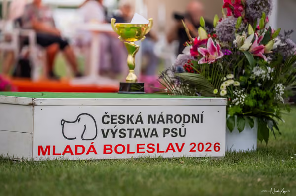 NVP Mladá Boleslav