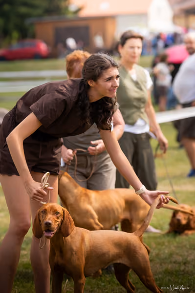 NVP Mladá Boleslav – Vizsla