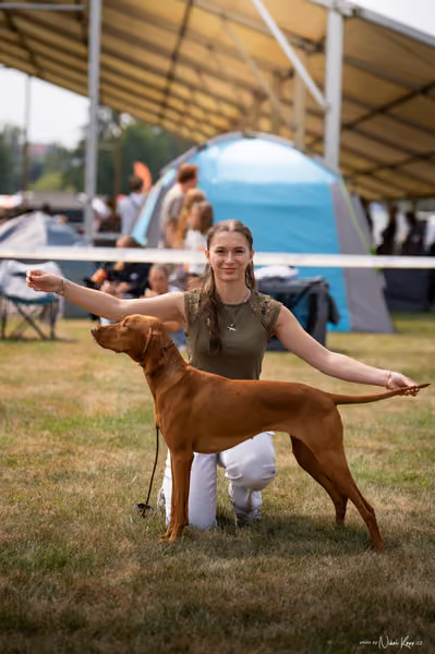 NVP Mladá Boleslav – Vizsla
