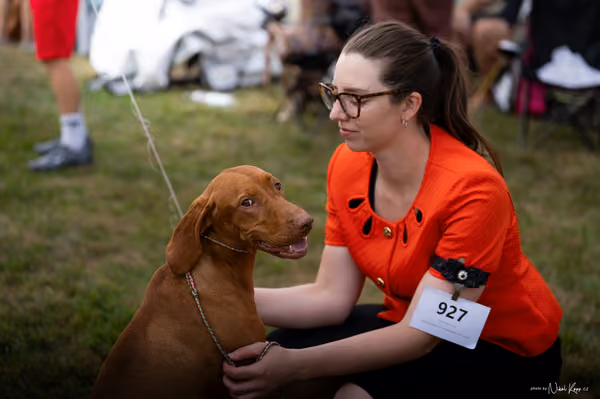 NVP Mladá Boleslav – Vizsla