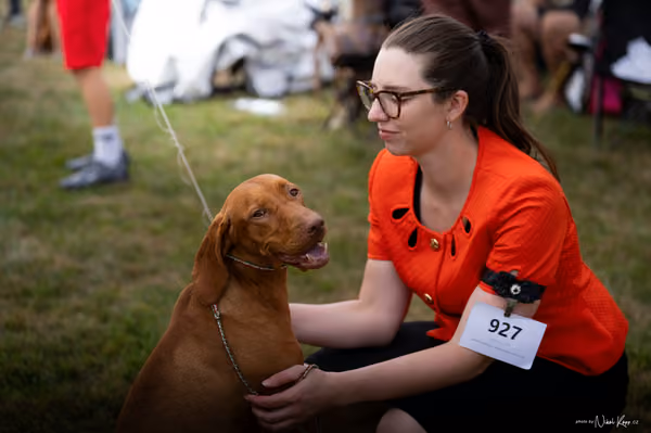 NVP Mladá Boleslav – Vizsla