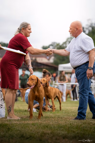 NVP Mladá Boleslav – Vizsla