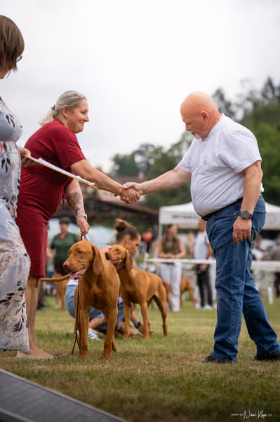 NVP Mladá Boleslav – Vizsla