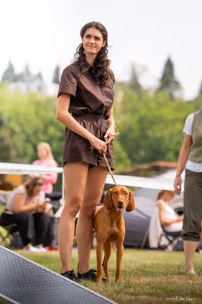 NVP Mladá Boleslav – Vizsla