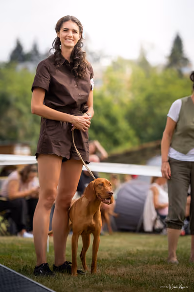 NVP Mladá Boleslav – Vizsla