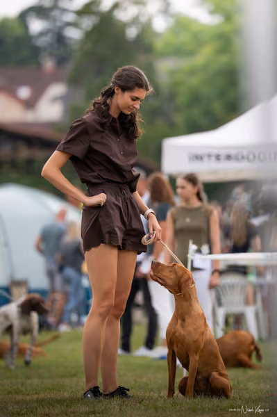 NVP Mladá Boleslav – Vizsla