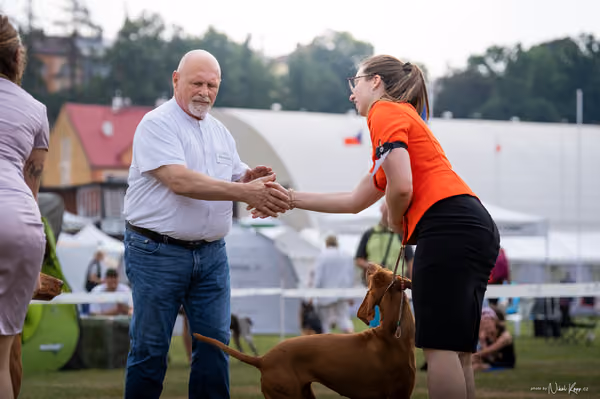 NVP Mladá Boleslav – Vizsla