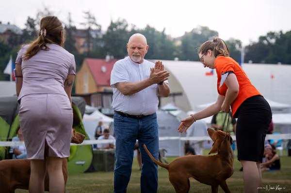 NVP Mladá Boleslav – Vizsla