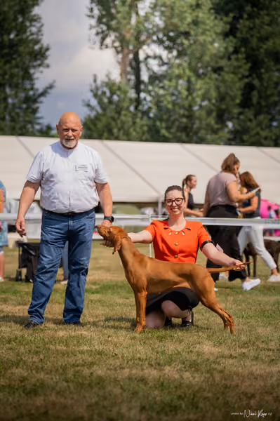 NVP Mladá Boleslav – Vizsla