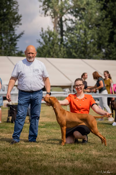 NVP Mladá Boleslav – Vizsla