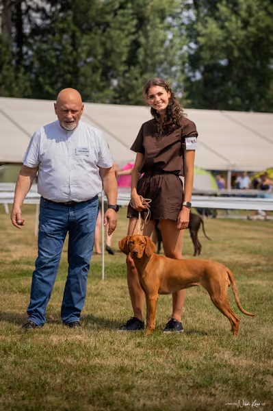 NVP Mladá Boleslav – Vizsla