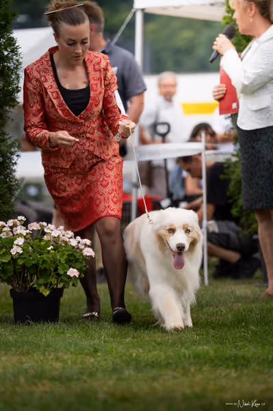 NVP Mladá Boleslav – Čestná