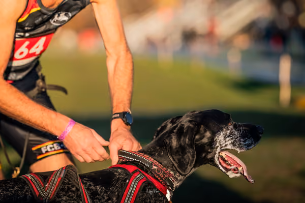 ICF WORLD CHAMPIONSHIP — ICF - FRIDAY – 7. listopadu 2025