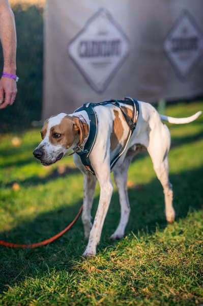 ICF WORLD CHAMPIONSHIP — ICF - FRIDAY – 7. listopadu 2025
