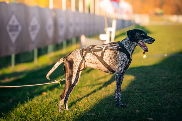 ICF WORLD CHAMPIONSHIP — ICF - FRIDAY – 7. listopadu 2025