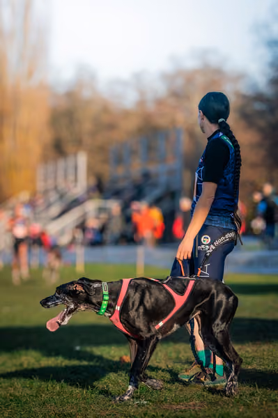 ICF WORLD CHAMPIONSHIP — ICF - FRIDAY – 7. listopadu 2025