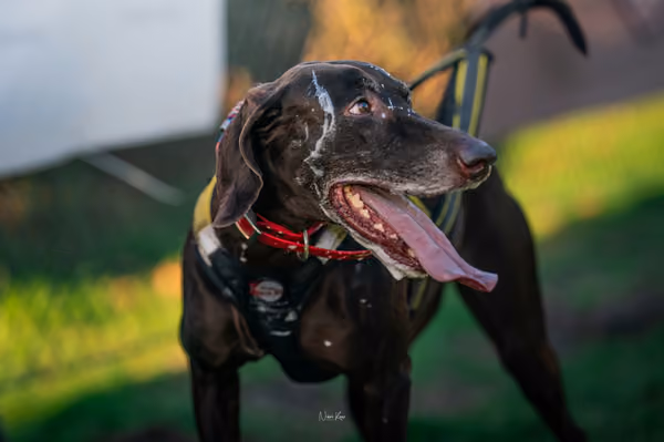 ICF WORLD CHAMPIONSHIP — ICF - FRIDAY – 7. listopadu 2025