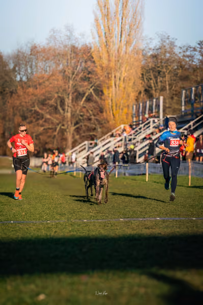 ICF WORLD CHAMPIONSHIP — ICF - FRIDAY – 7. listopadu 2025