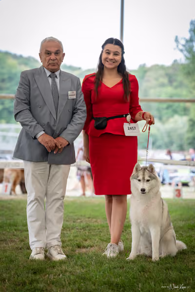 CACIB Mladá Boleslav – Sibiřský husky