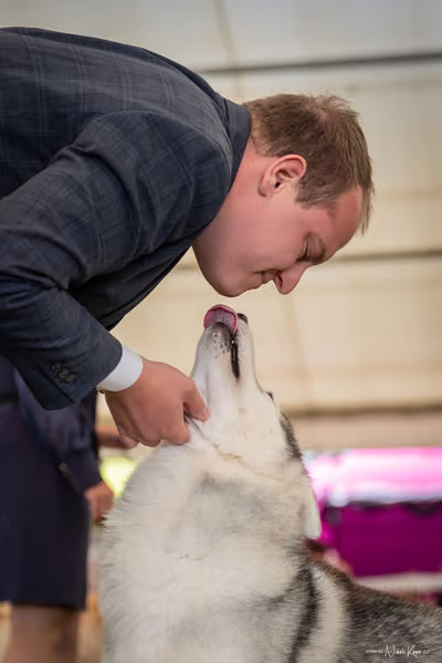 CACIB Mladá Boleslav – Sibiřský husky