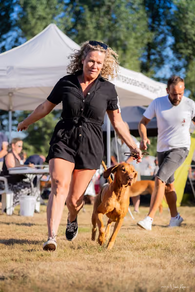 CACIB Mladá Boleslav – Vizsla