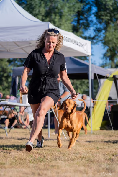 CACIB Mladá Boleslav – Vizsla