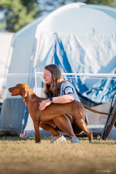 CACIB Mladá Boleslav – Vizsla