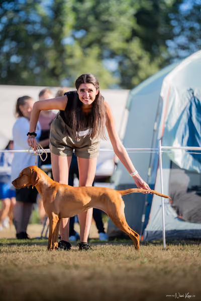 CACIB Mladá Boleslav – Vizsla