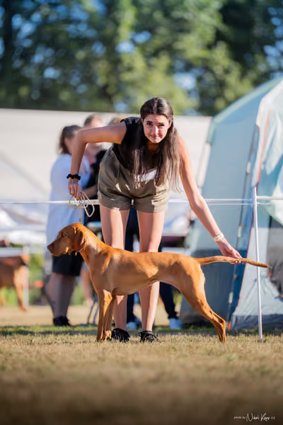 CACIB Mladá Boleslav – Vizsla