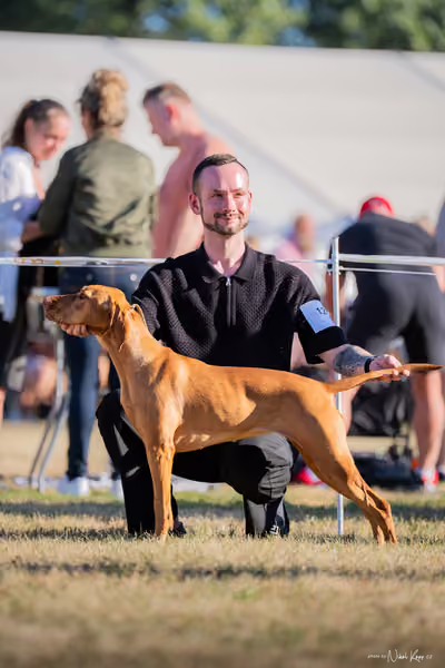 CACIB Mladá Boleslav – Vizsla