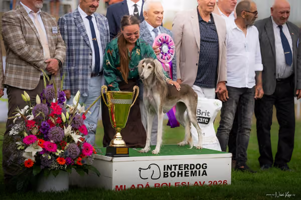 CACIB Mladá Boleslav – BIS