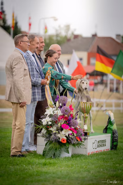 CACIB Mladá Boleslav – BOD