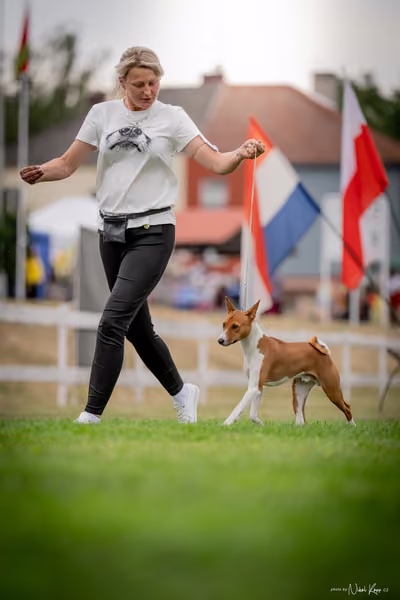 CACIB Mladá Boleslav – 5 FCI Junior