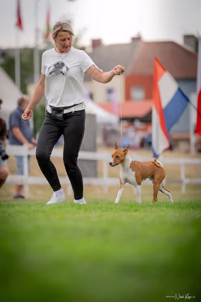 CACIB Mladá Boleslav – 5 FCI Junior