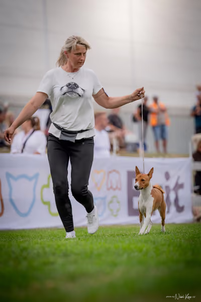 CACIB Mladá Boleslav – 5 FCI Junior