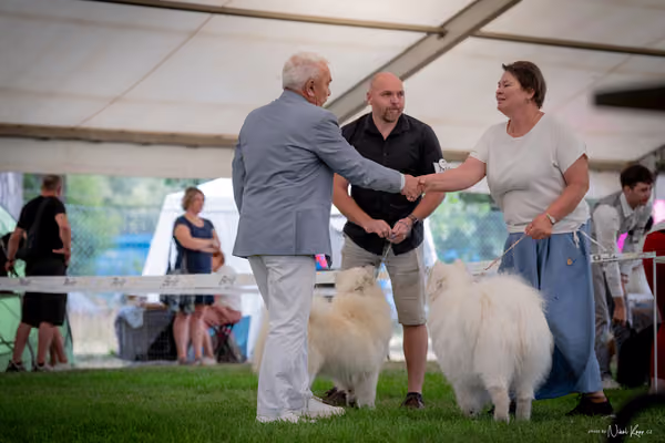 CACIB Mladá Boleslav – Samojed