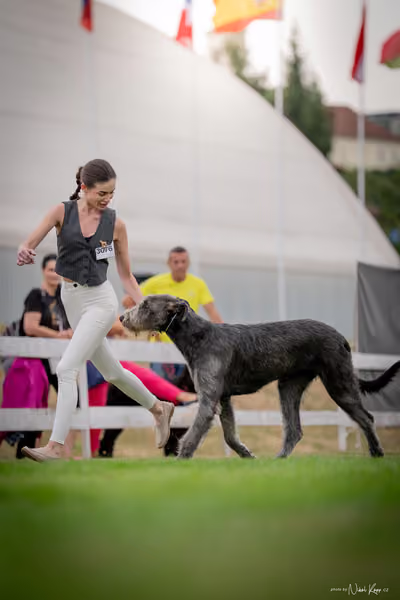 CACIB Mladá Boleslav – BOD Junior