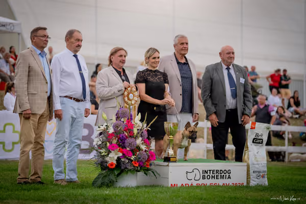 CACIB Mladá Boleslav – BOD Junior