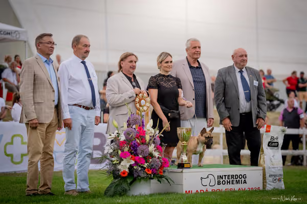 CACIB Mladá Boleslav – BOD Junior
