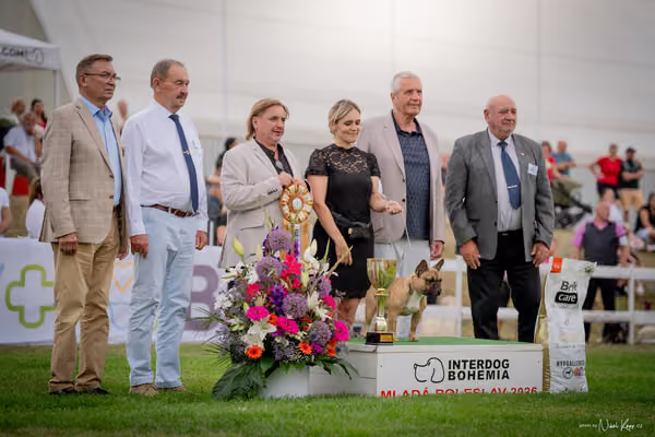 CACIB Mladá Boleslav – BOD Junior