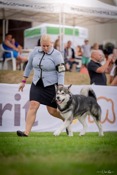 CACIB Mladá Boleslav – FCI 5