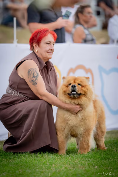 CACIB Mladá Boleslav – FCI 5