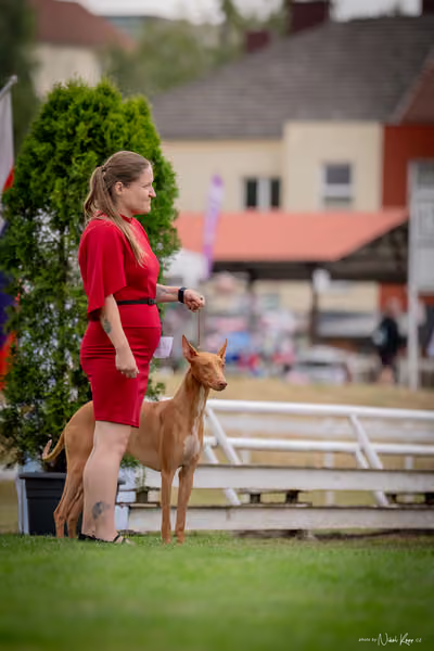 CACIB Mladá Boleslav – FCI 5