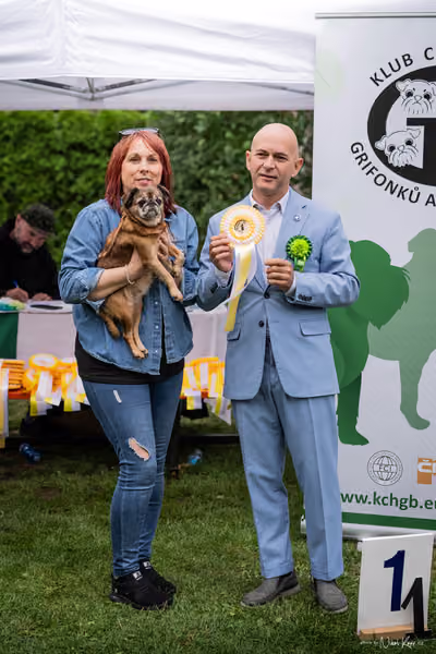 Klub chovatelů grifonků a brabantíků — Speciální výstava - dopoledne – Brabantík