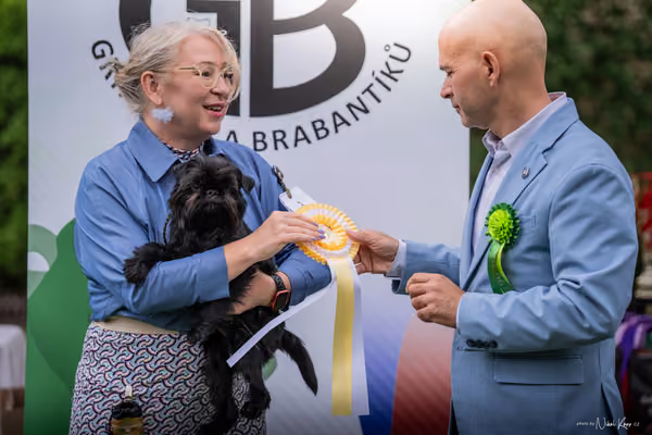Klub chovatelů grifonků a brabantíků — Speciální výstava - dopoledne – Belgický grifonek