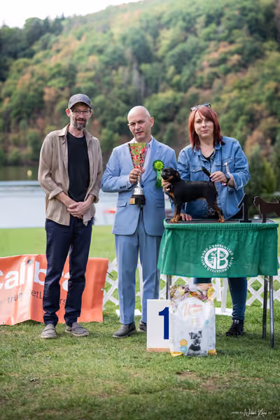Klub chovatelů grifonků a brabantíků — Speciální výstava - závěrečné soutěže – 22. srpna 2026