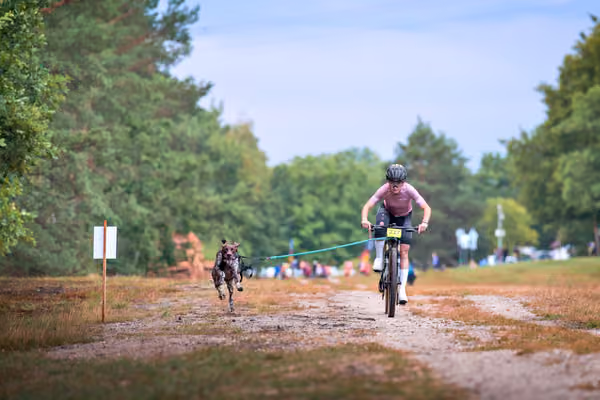 Libová Jízda 2026 💚 Autumn — Sobota – BKJ