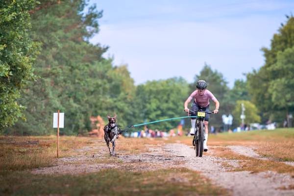 Libová Jízda 2026 💚 Autumn — Sobota – BKJ