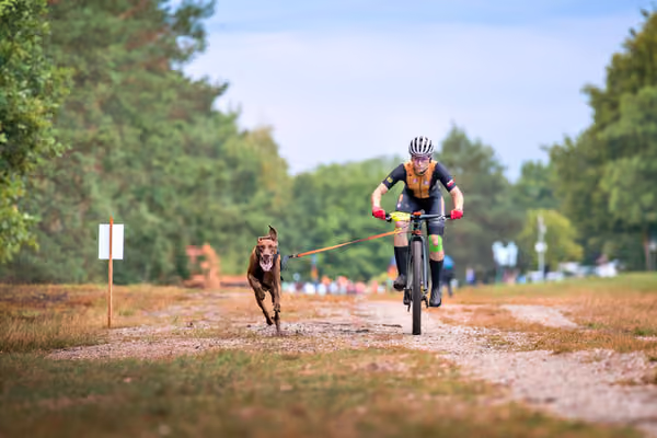 Libová Jízda 2026 💚 Autumn — Sobota – BKJ